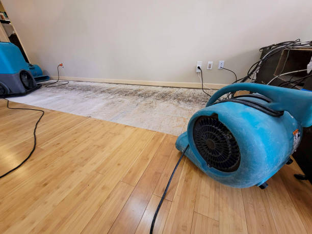 Professional Structural Drying technician working in Hallsville, MO
